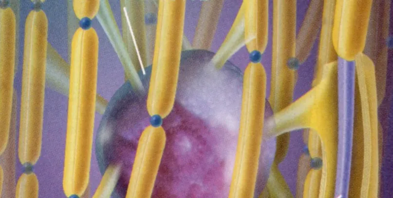 illustration leucodystrophies